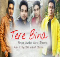 Tere Bina