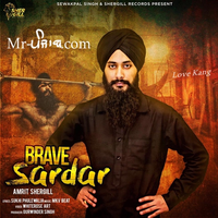 Brave Sardar