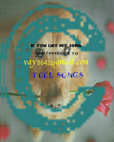 Feel Songs