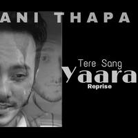 Tere Sang Yaara