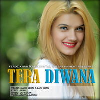 Tera Diwana