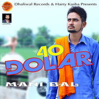 40 Dolar