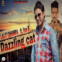 Dazzling Cat