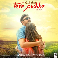 Tere Pichhe