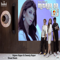 Mitraa Da Mh1