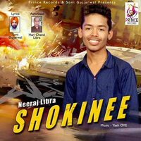 Shokinne