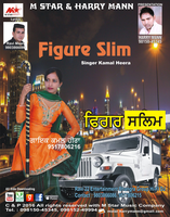 Figure Slim­