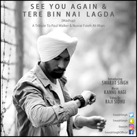 See You Again (Cover)