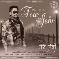Tere Jehi