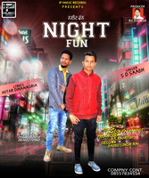 Night Fun