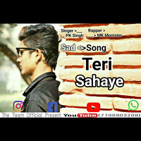 Teri Sahaye