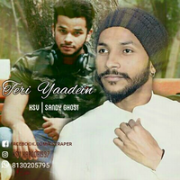Teri Yaadein