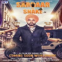 Sardaar Vs Snake