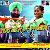 Teri Aakh De Pavade
