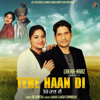 Tere Haan Di