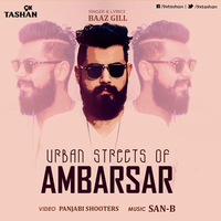 Urban Streets On Ambarsar