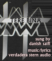 Tere Bina