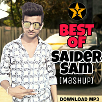 Best Of Saider Sam