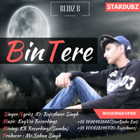 Bin Tere