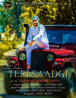 Teri Saadgi