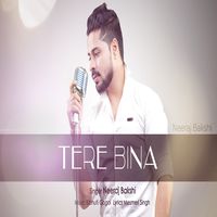Tere Bina