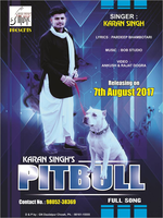 Pitbull