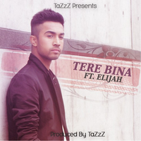 Tere Bina