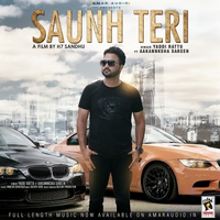 Saunh Teri