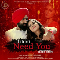 I Dont Need You