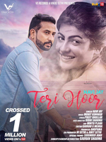 Teri Hoor