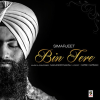 Bin Tere
