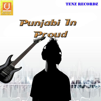 Punjabi In Proud
