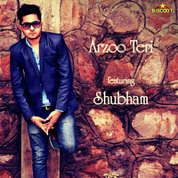 Arzoo Teri