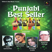 Punjabi Best Seller