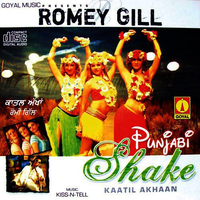 Punjabi Shake (Kaatil Akhaan)