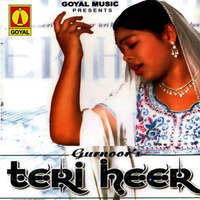 Teri Heer