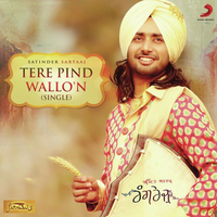 Tere Pind Wallon (From Rangrez)