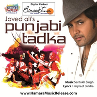 Punjabi Tadka