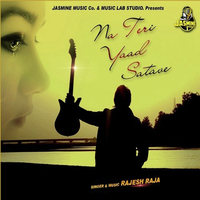 Na Teri Yaad Satave