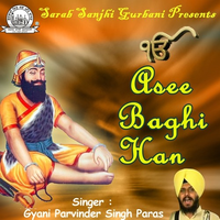 Asee Baghi Han