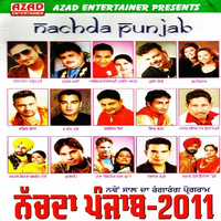 Nachda Punjab 2011