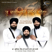 To Dariyao Dana Beena