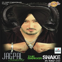The Danger Snake