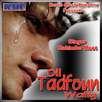 Dil Tadfonn Waliye