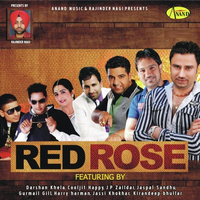 Red Rose