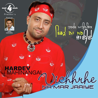 Vichhrhe Naa Mar Jaaiye