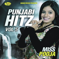 Punjabi Hitz Vol.5