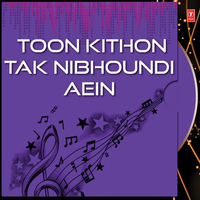 Toon Kithon Tak Nibhoundi Aein