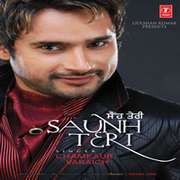 Saunh Teri