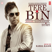 Tere Bin